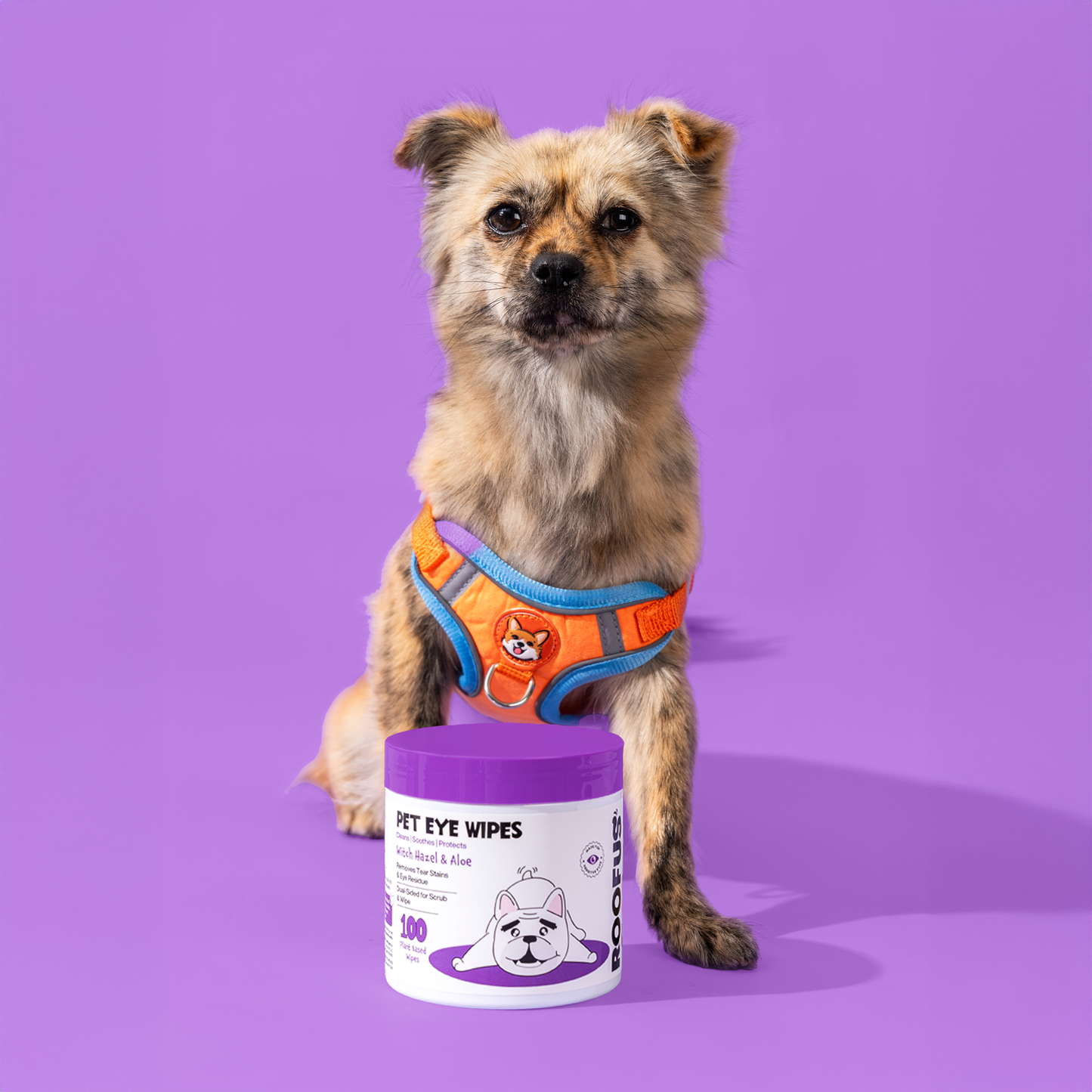 Roofus PET EYE WIPES - WITCH HAZEL & ALOE - 100 CIRCULAR WIPES 榛子芦荟眼睛湿巾 100片