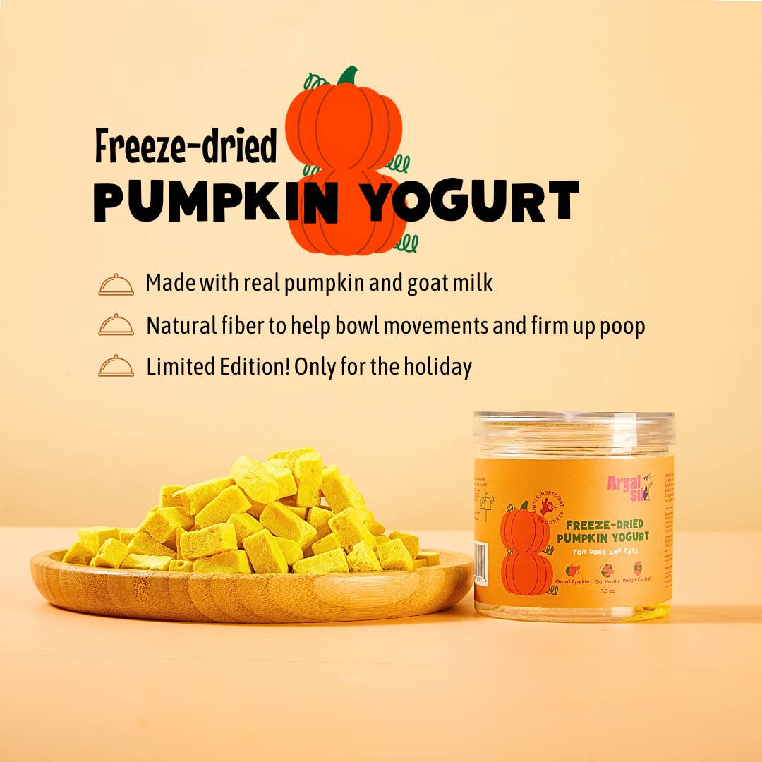 Freeze-Dried Pumpkin Yogurt 5.82OZ