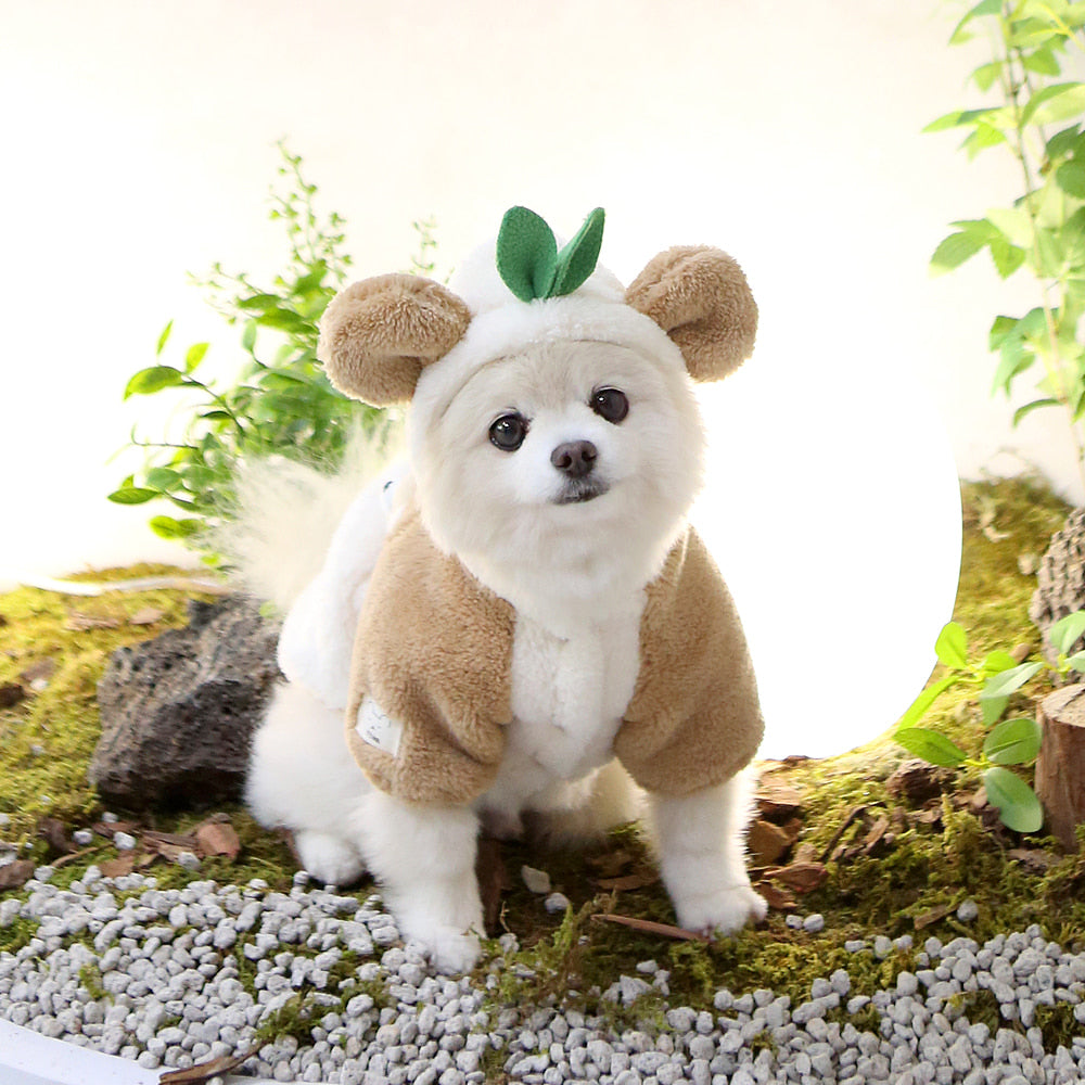 It's Dog Cute Baby Clothes