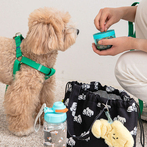 Biteme Tritan One-touch Treat Bottle (2 colors)
