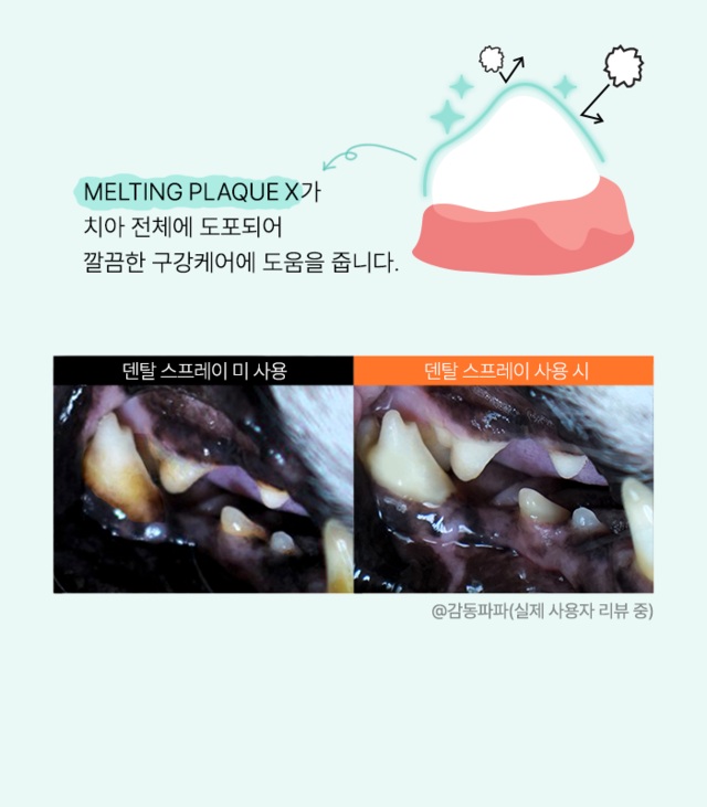 Your Vet Dental Spary 100ml 蜂胶口腔喷雾 除口气牙结石