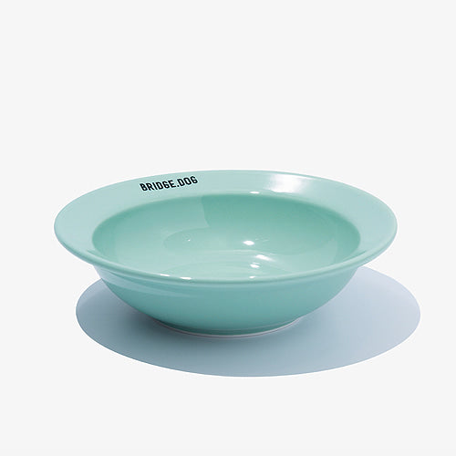 Bridge Dog MINI DISH - MINT (GLOSSY)