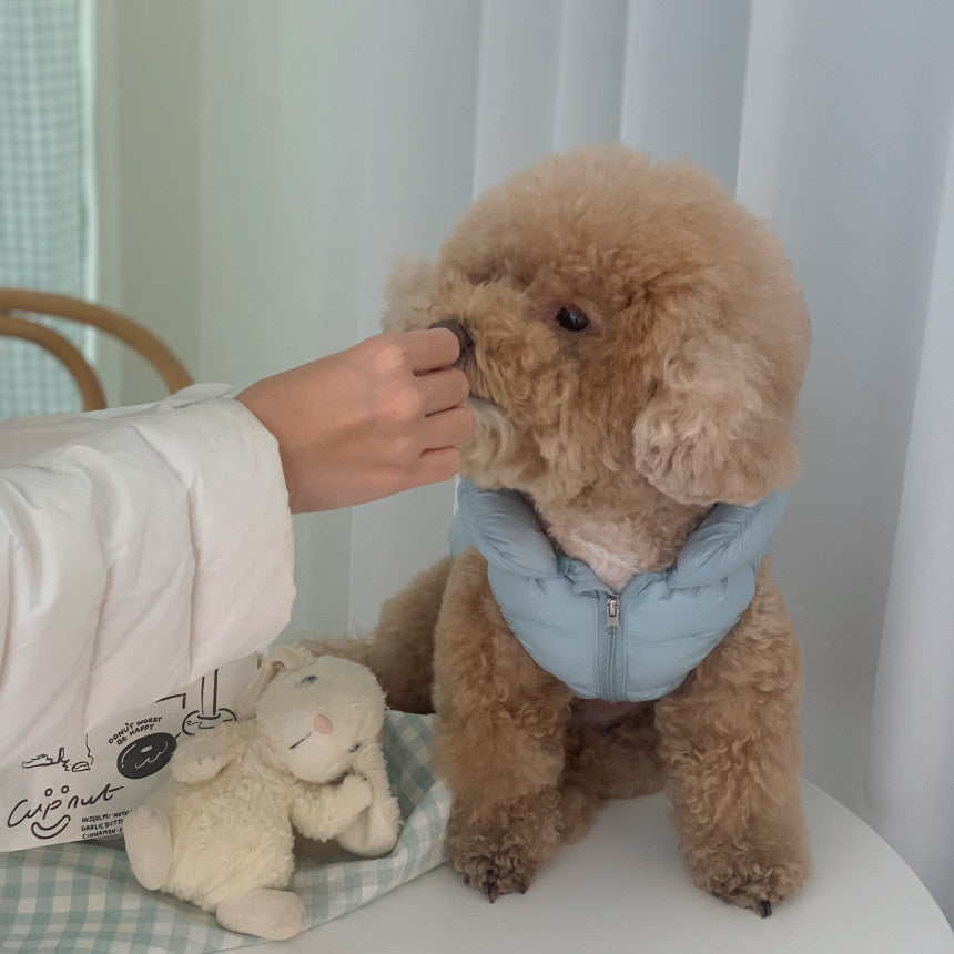 Soft Down Jacket with Travel Bag 超软防水羽绒服带旅行袋 四色