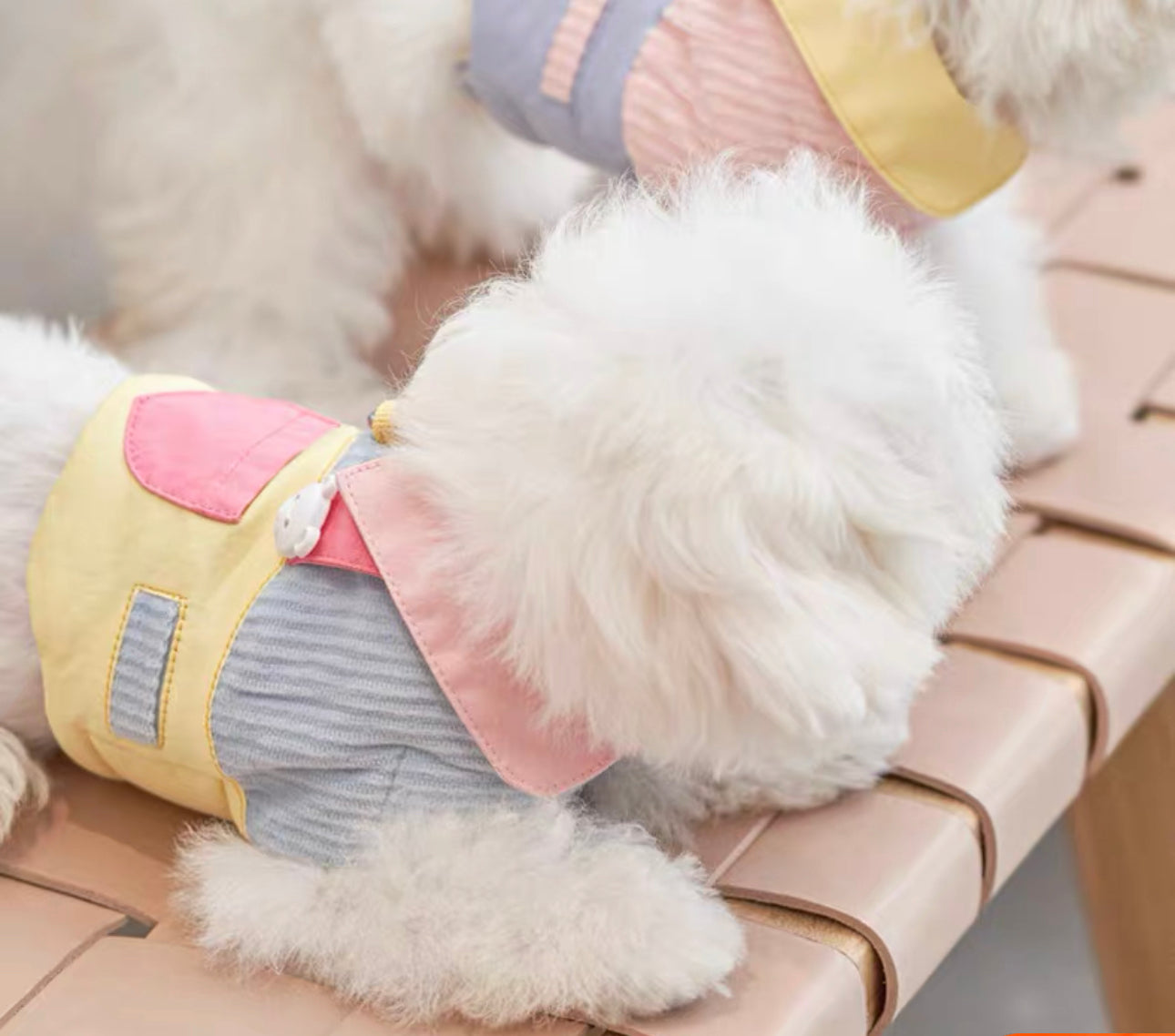 Suspenders Pink Blue Harness 它愿假两件可爱背带胸背