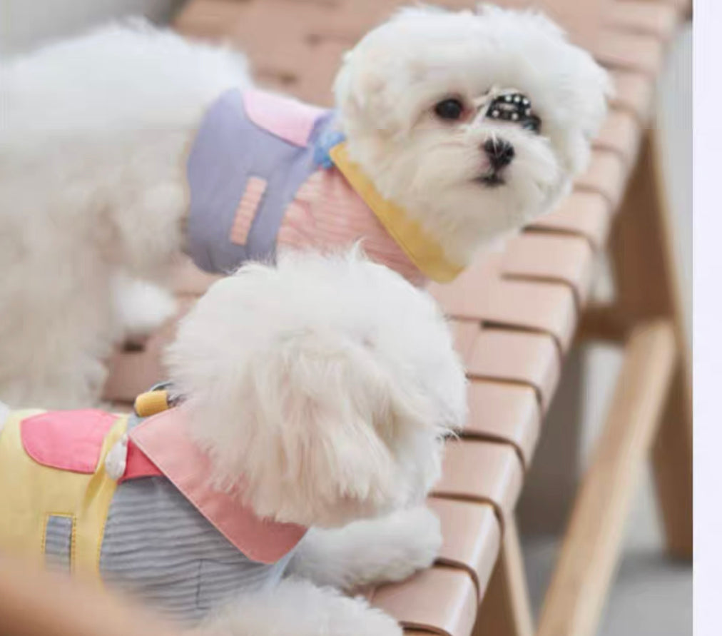 Suspenders Pink Blue Harness 它愿假两件可爱背带胸背