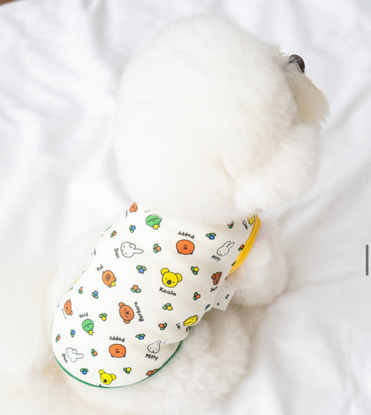 Noutti Miffe Clothes