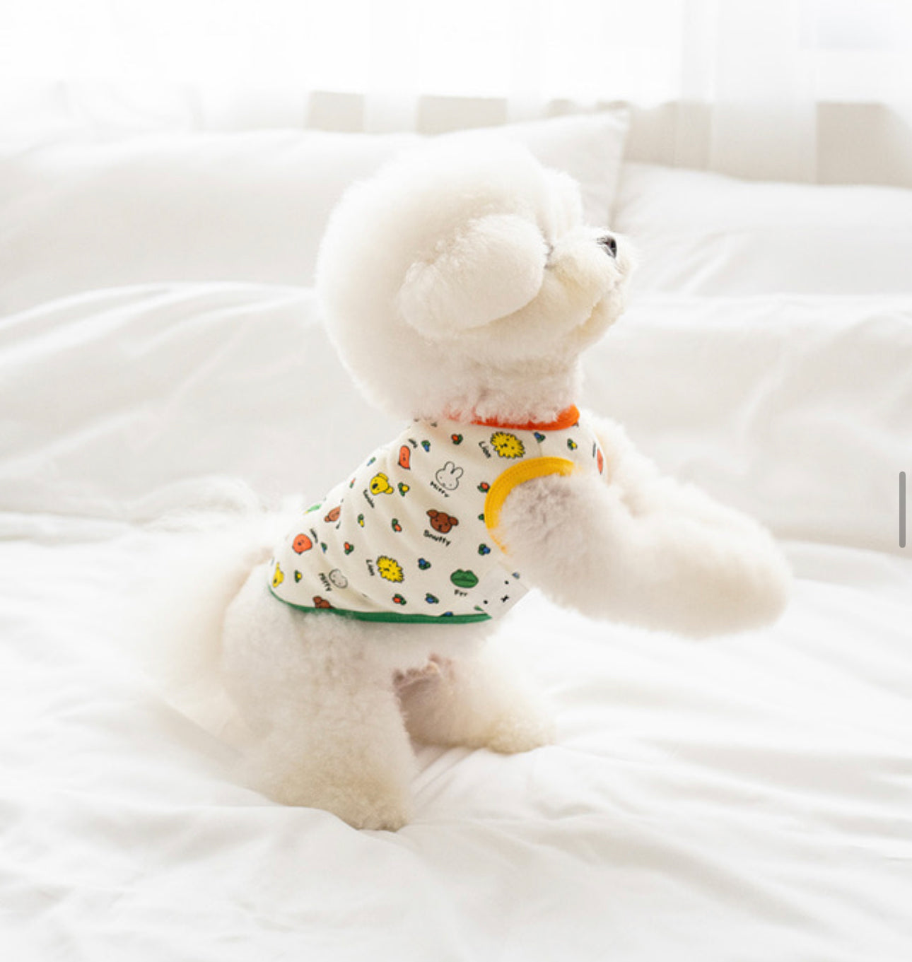 Noutti Miffe Clothes
