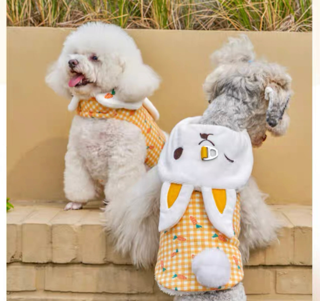 Cute Rabbit Harness它愿可爱小兔子毛绒胸背
