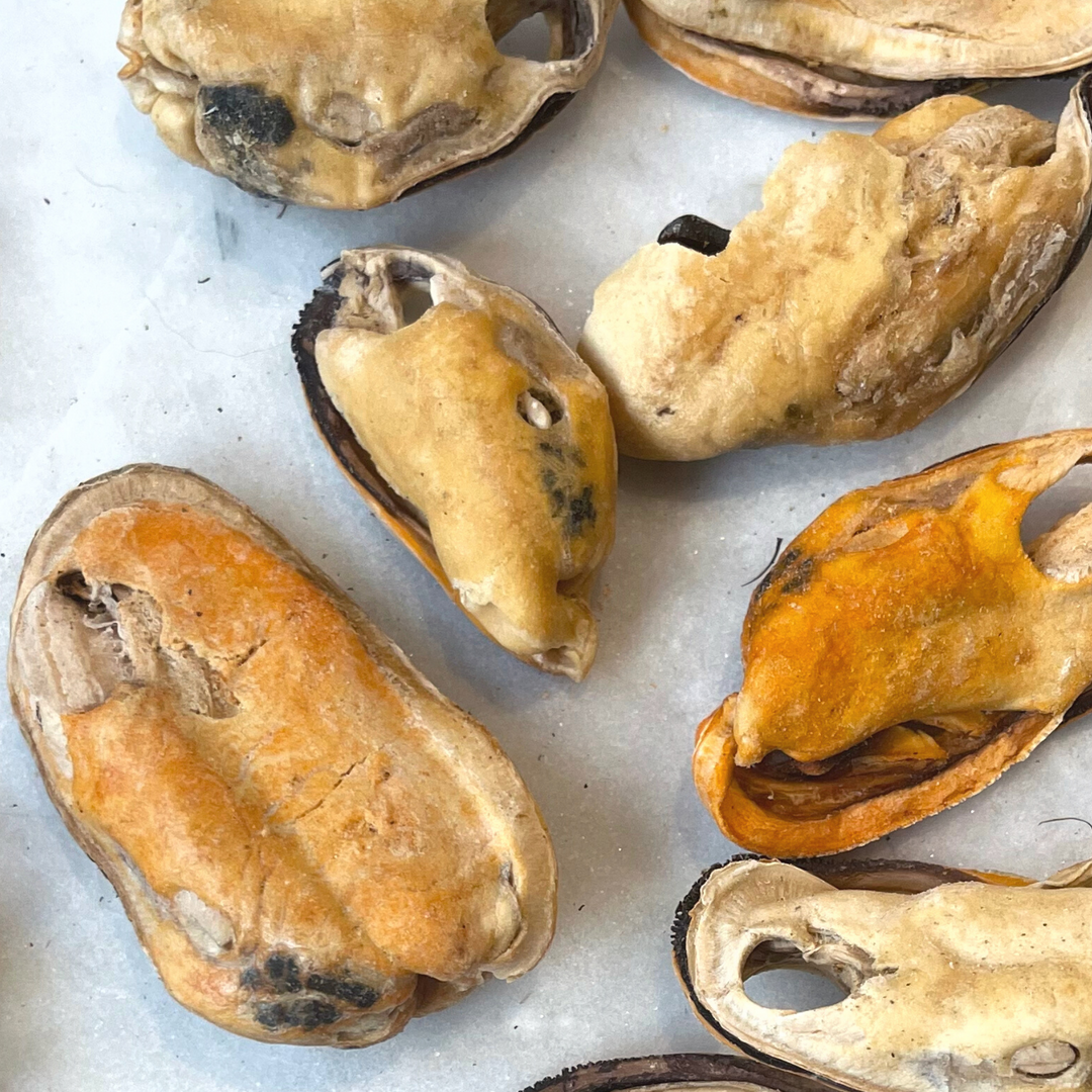 Organic Green Lipped Mussels 青口贝 50g for Dog
