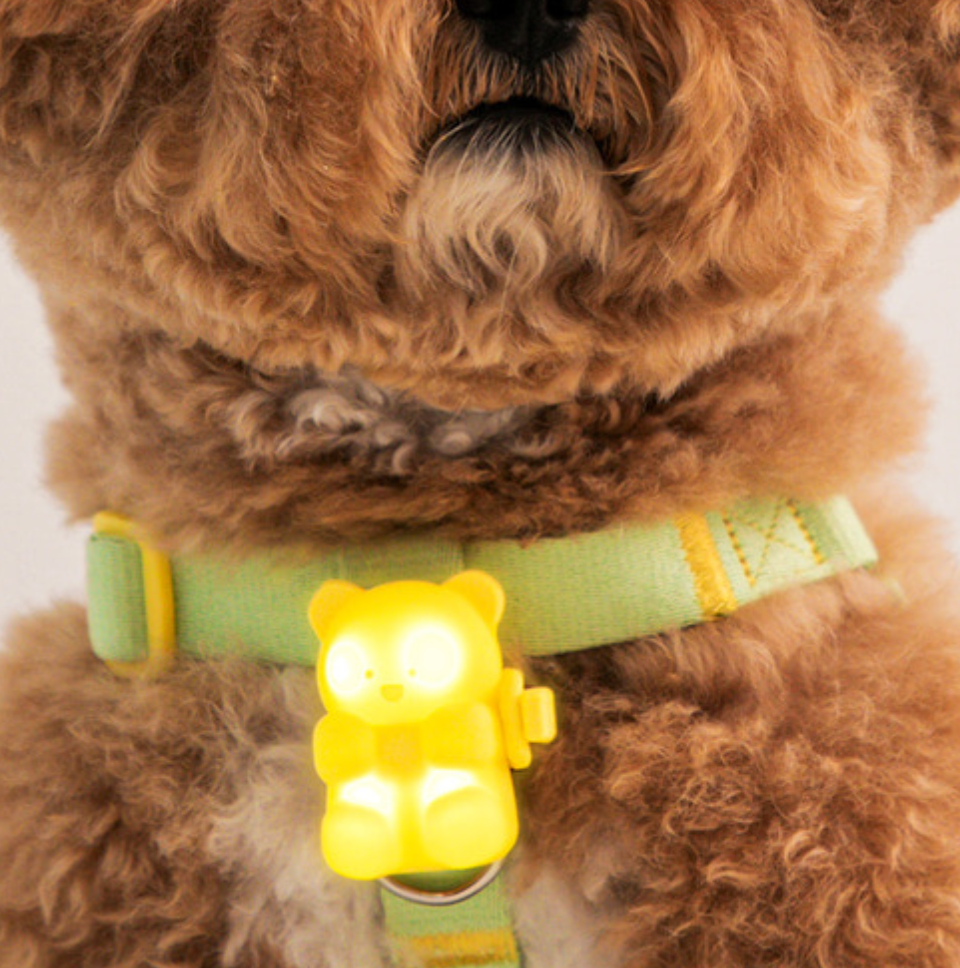 Biteme Jellybear LED Rechargable Blinker (3 colors)