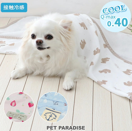 Pet Paradise Bear Blanket 90*60cm