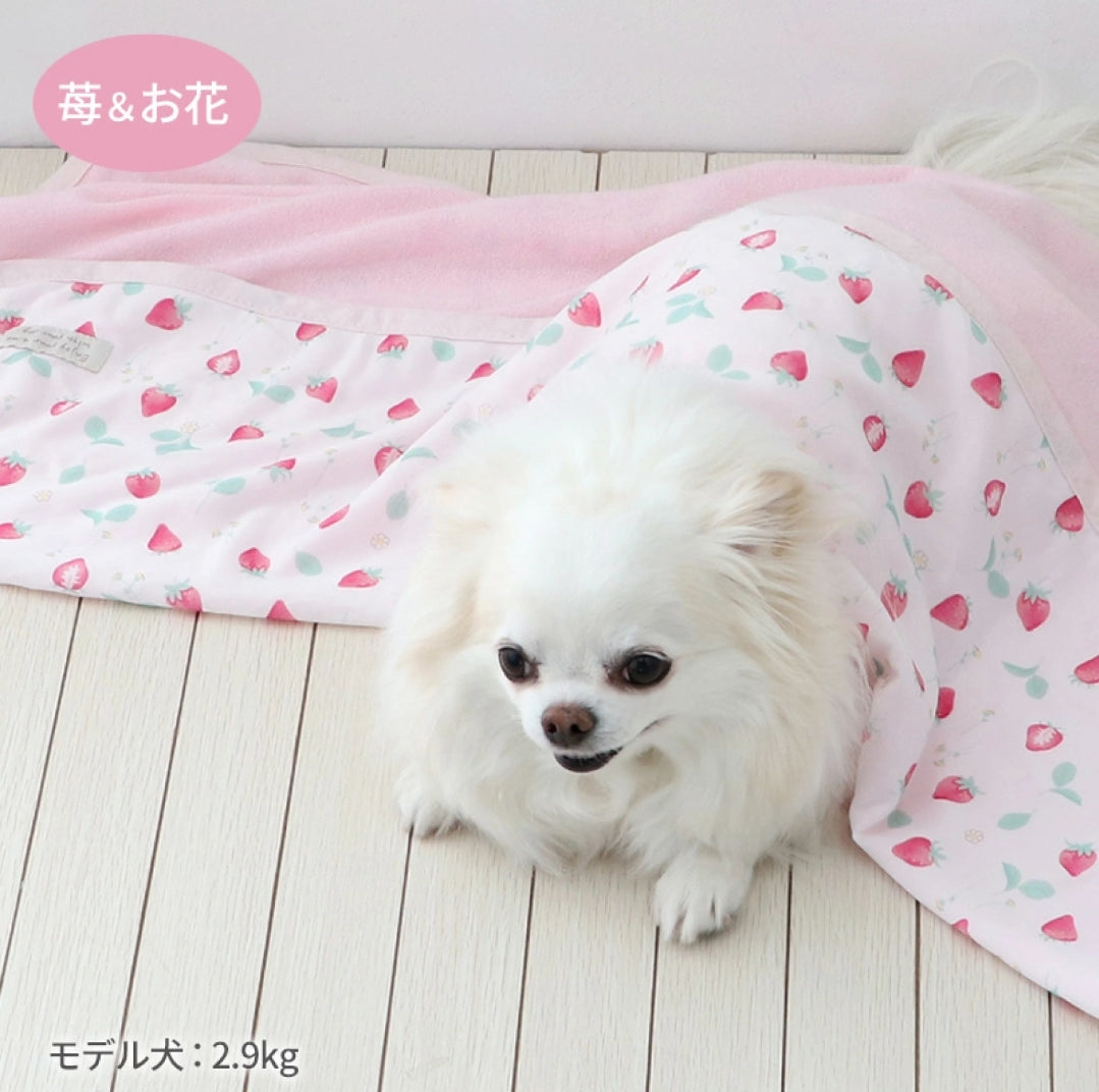 Pet Paradise Strawberry Blanket 90*60cm