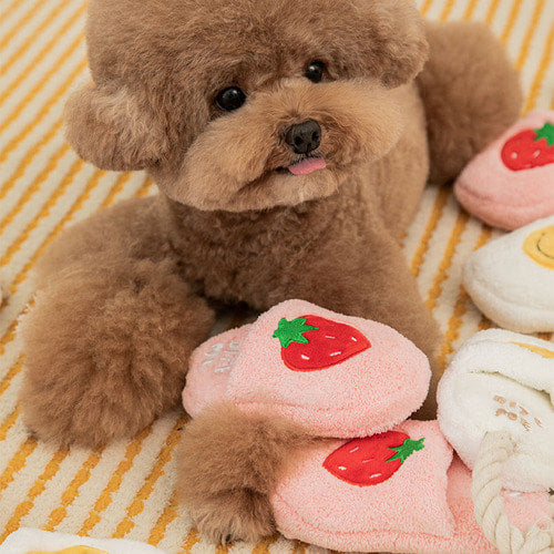 Biteme Slipper Tug Toys