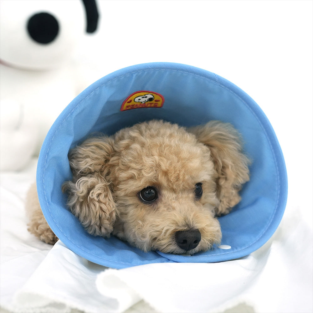 Snoopy elizabethan cone