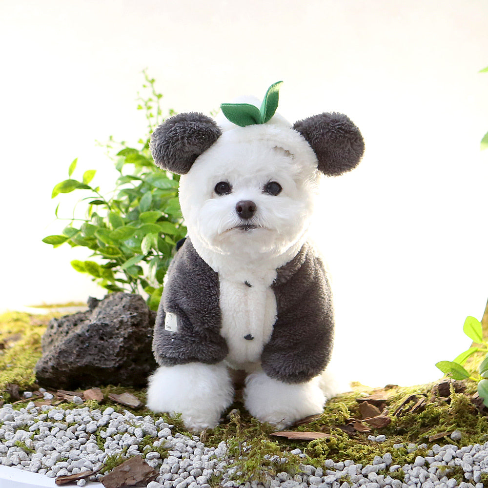 It's Dog Cute Baby Clothes