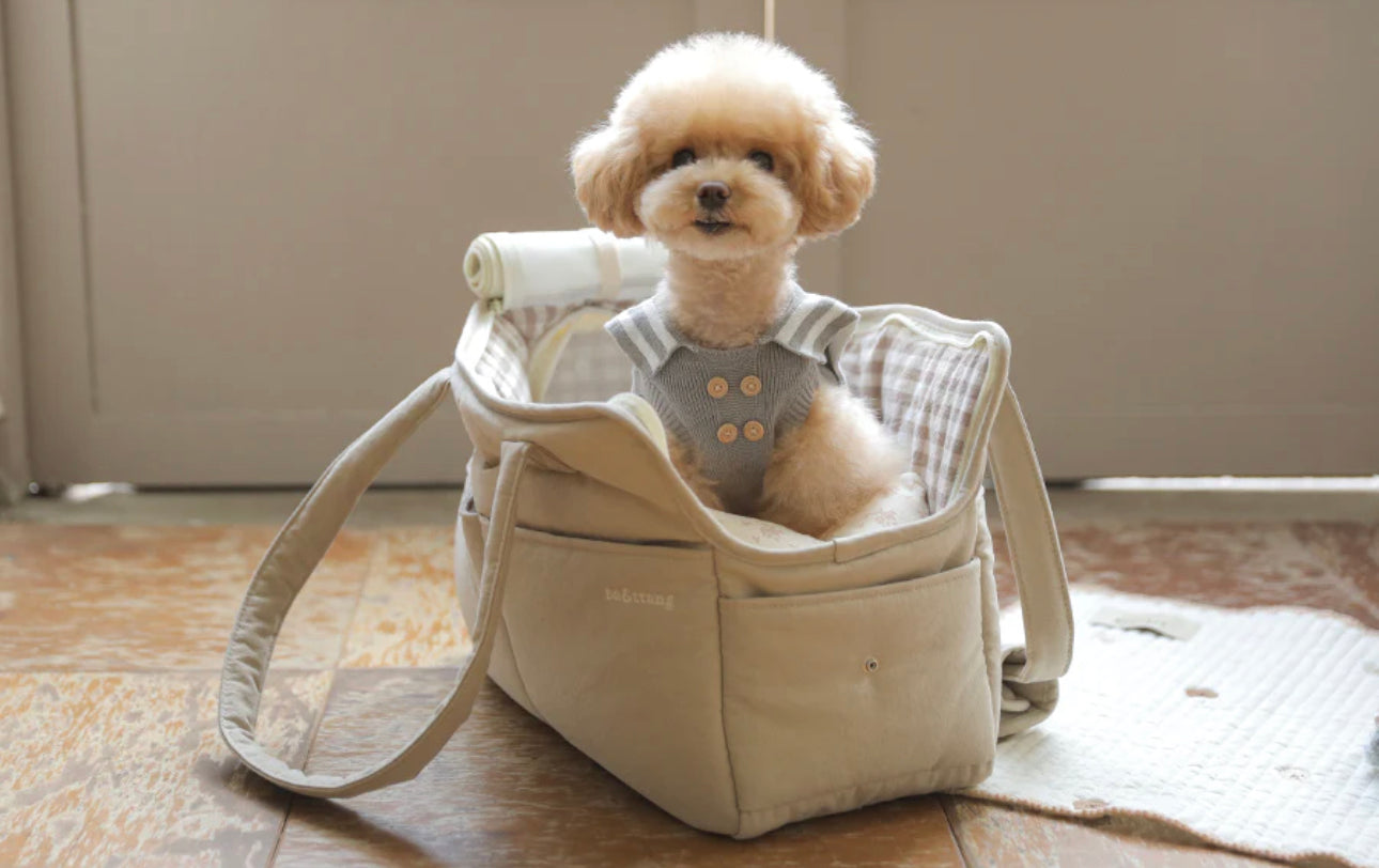 Check two in one shoulder bag Beige