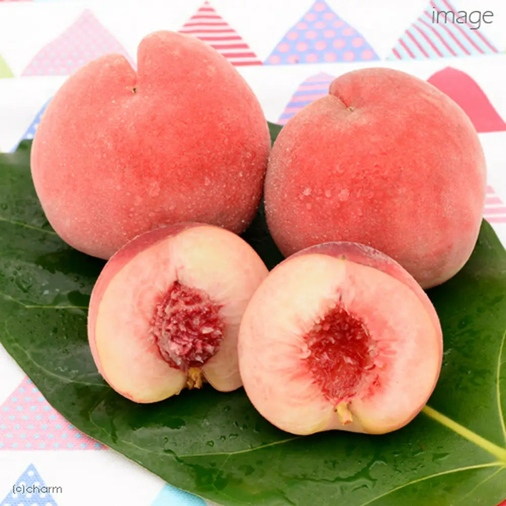 Packum Dry Peach 30g