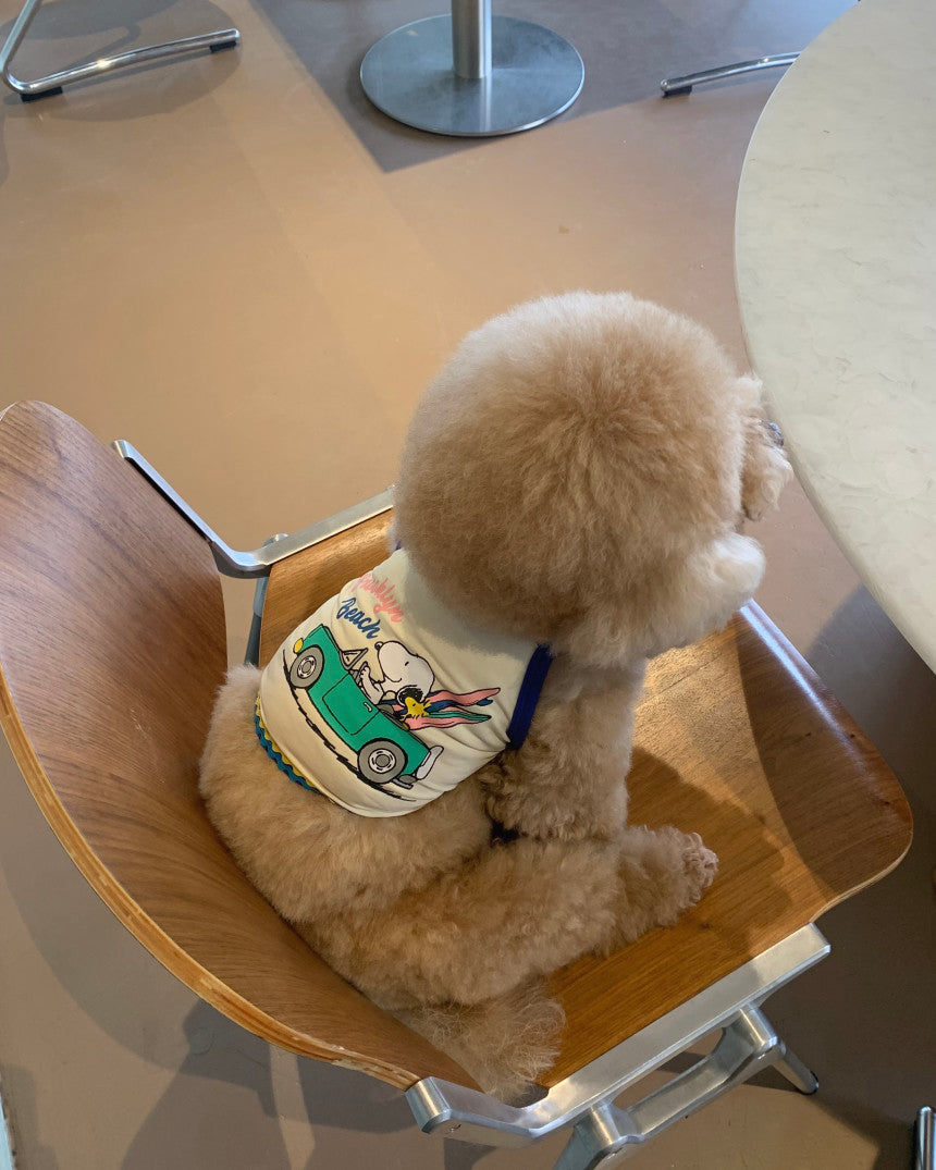 Snoopy Cooling Vest