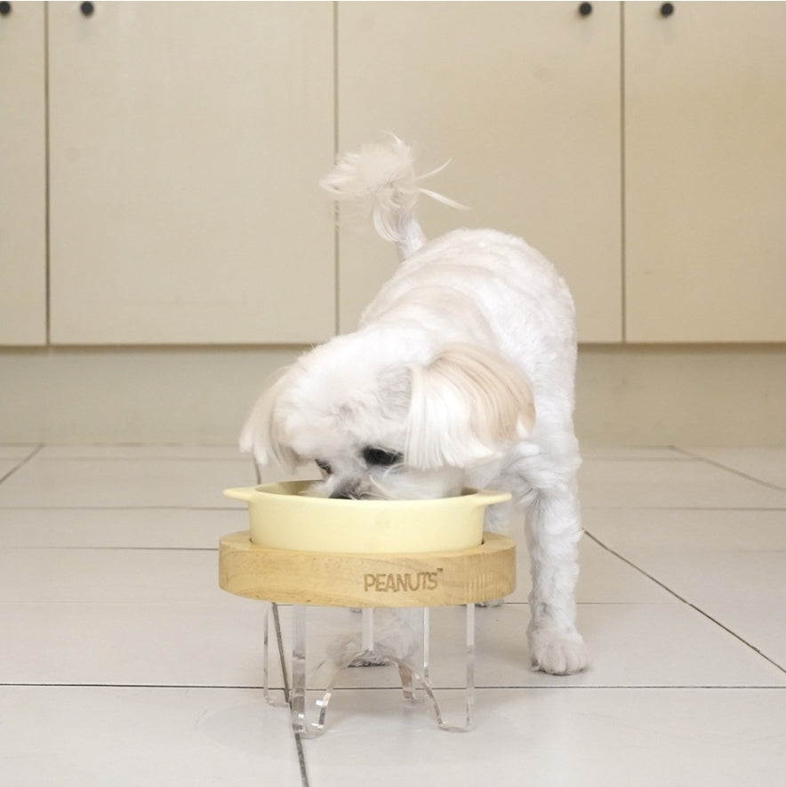 Paris Dog Peanuts Chef Bowl and Table Mini Size