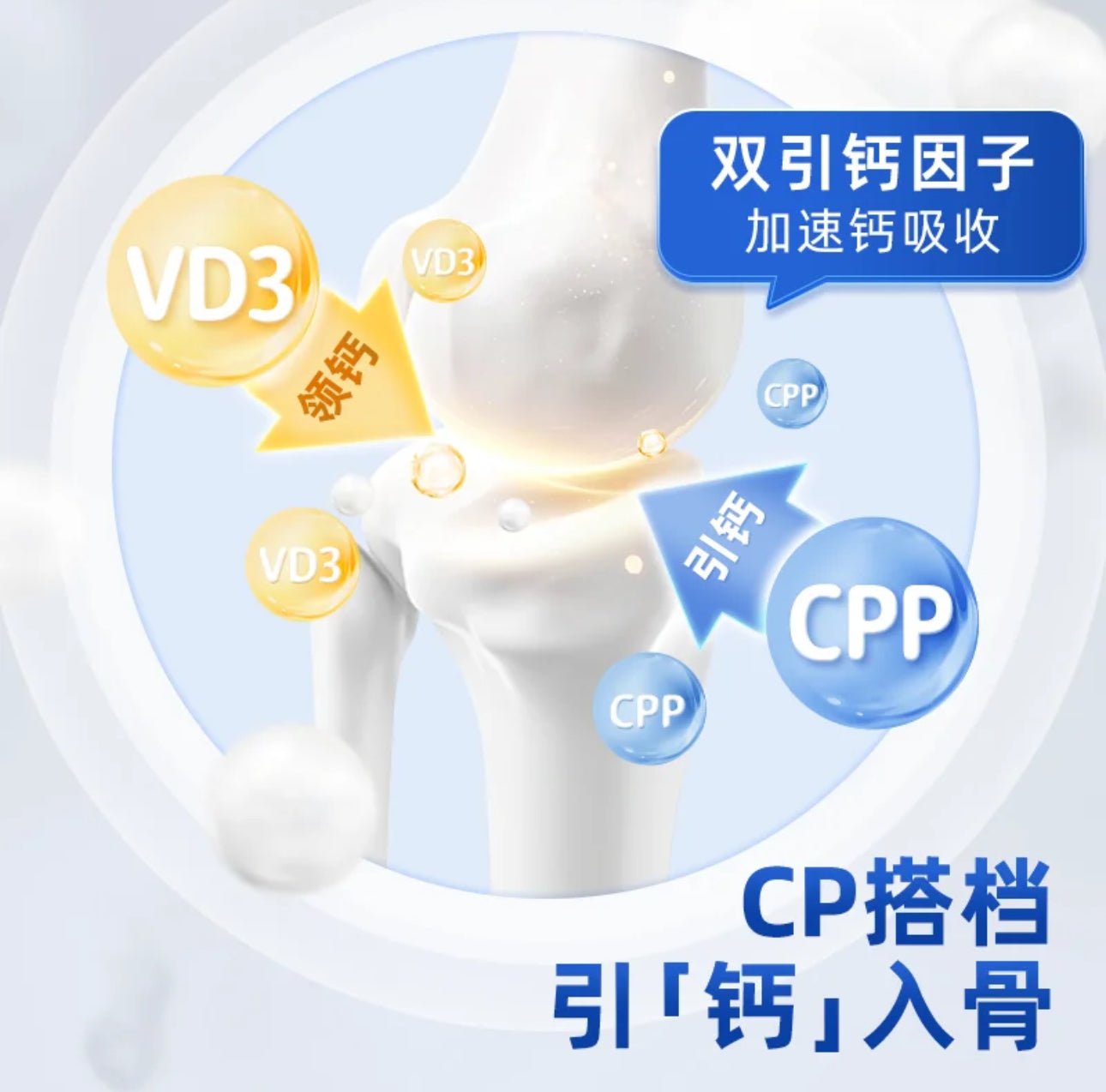 Vetwish Milk Calcium Bone and Teeth Care 120 pcs