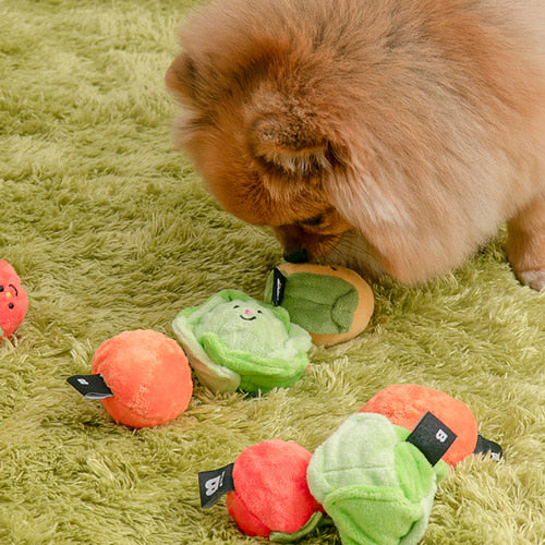 Biteme Vegetable Ball Toy (2sets)