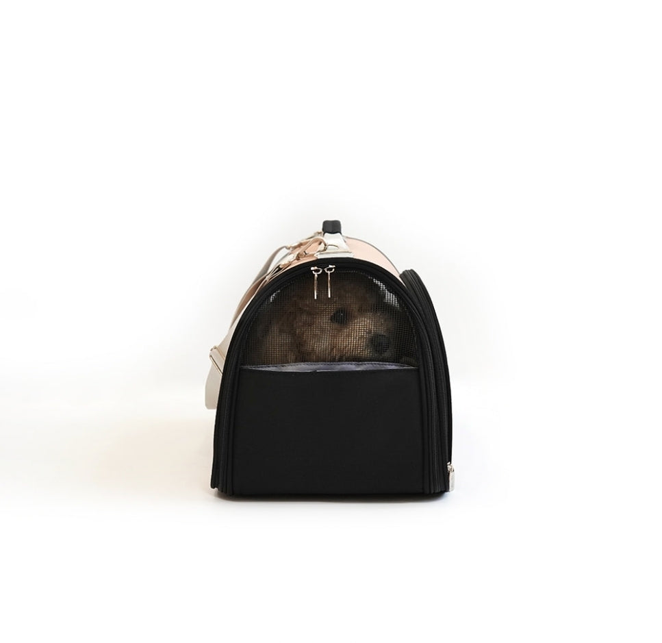 Snoopy's outgoing bag m size