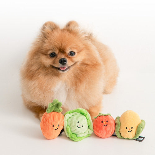 Biteme Vegetable Ball Toy (2sets)