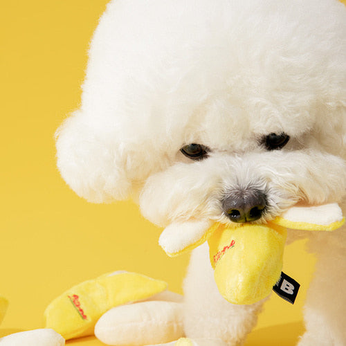 Biteme Banana Toy