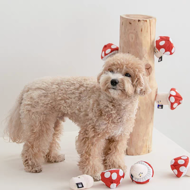 Biteme Mushroom Nose Toy