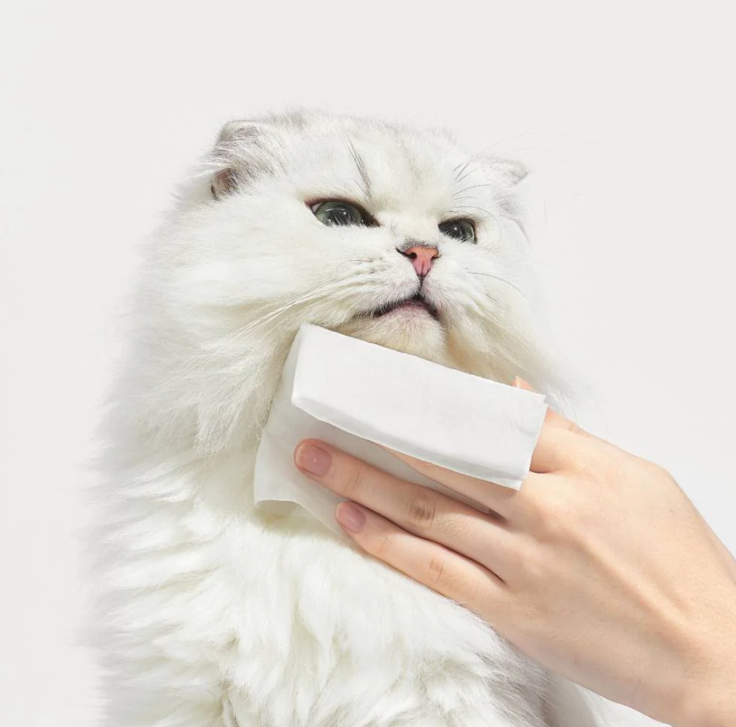 Michu 棉质泡泡猫湿巾 80 片装