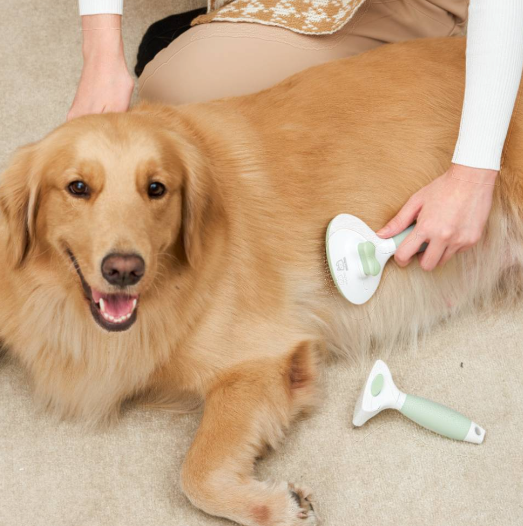 Michu Round Head Cream Pet Grooming Brush