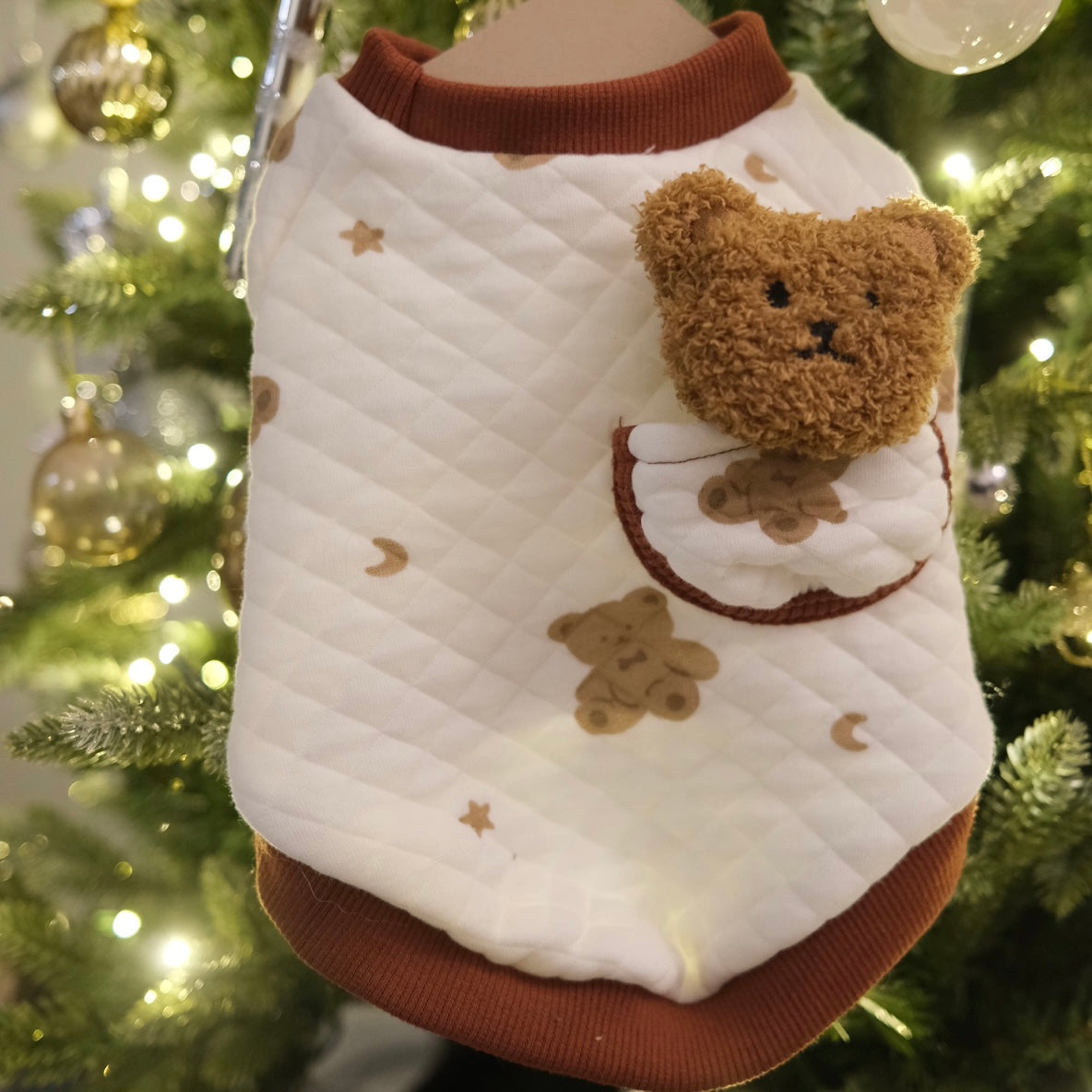 Plush Bear Hoodie