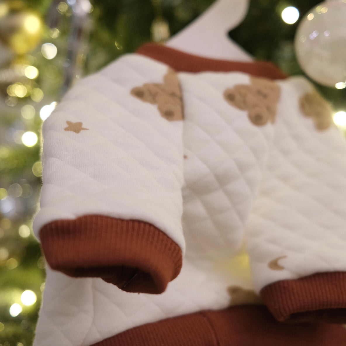 Plush Bear Hoodie