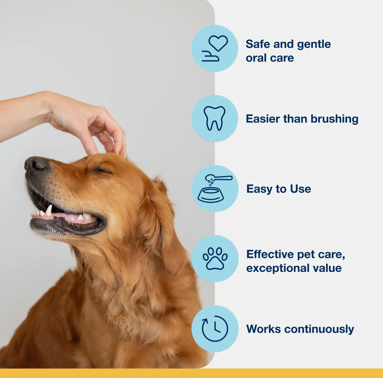 ProDen PlaqueOff Dental Powder fo Cat and Dog 牙结石清洁粉 60g