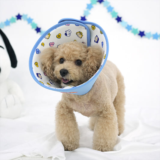 Snoopy elizabethan cone