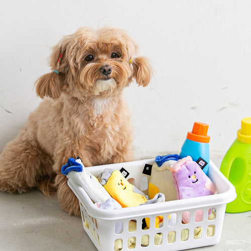 Bite Me Socks nose-work toy (A set of 3 socks)