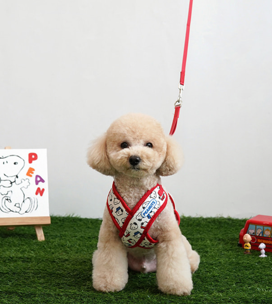 Snoopy Harness with Leash X Type S size