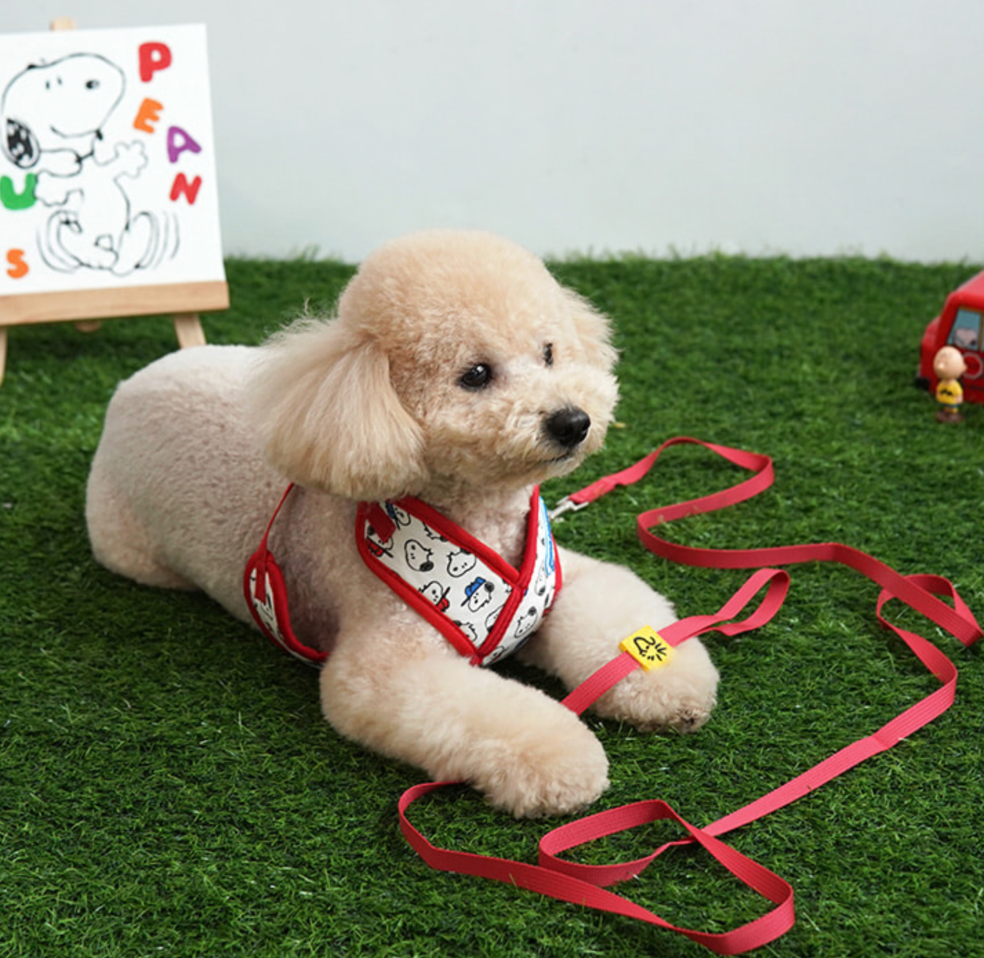 Snoopy Harness with Leash X Type S size