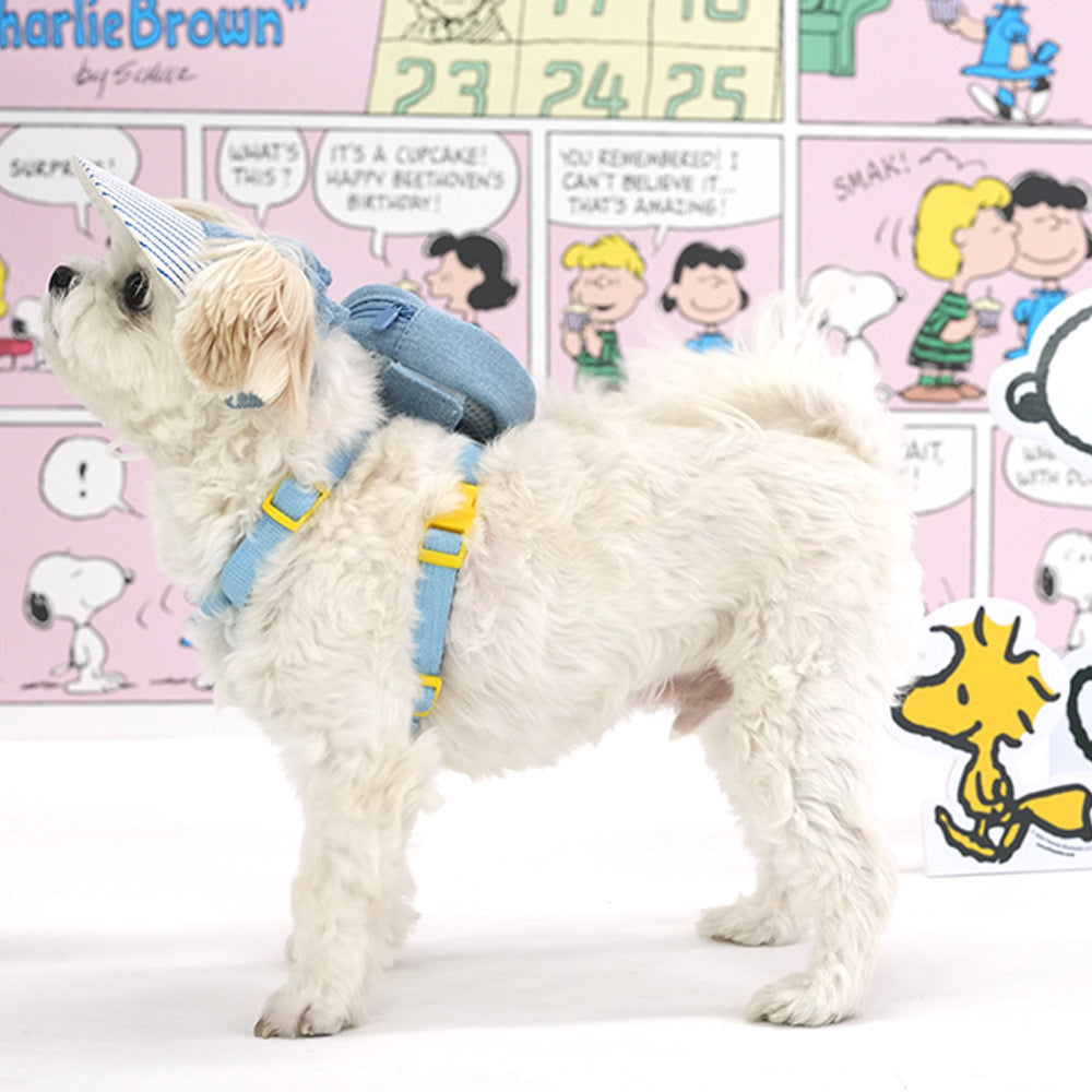 Snoopy Harness with Leash and Hat