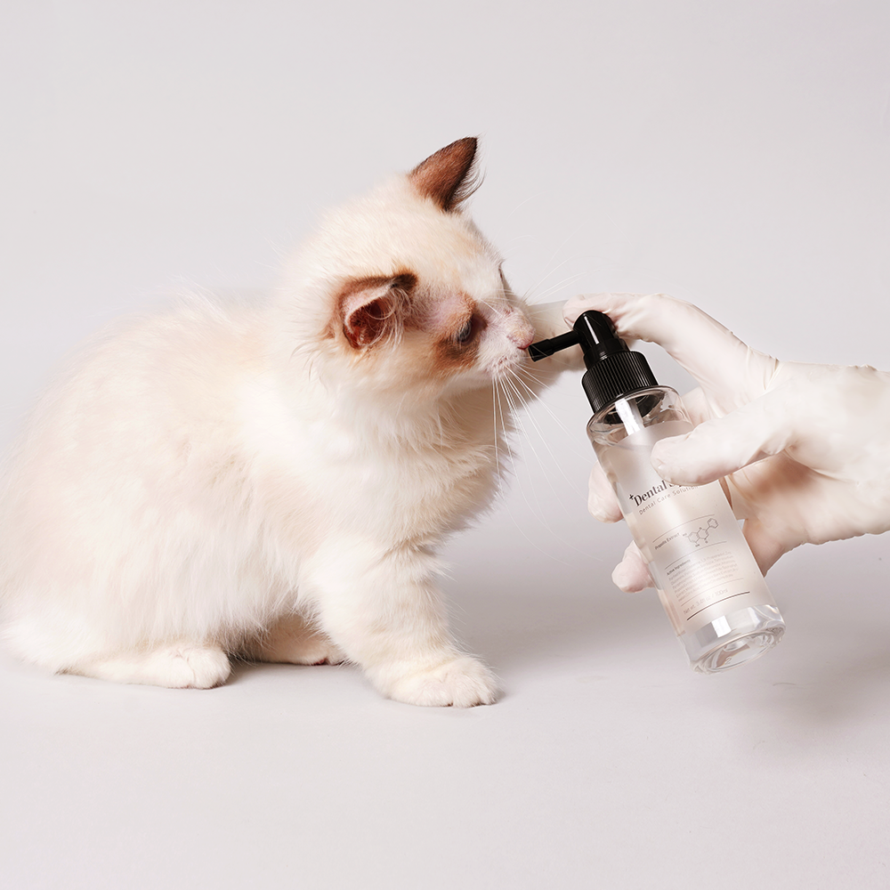 Your Vet Dental Spary 100ml 蜂胶口腔喷雾 除口气牙结石