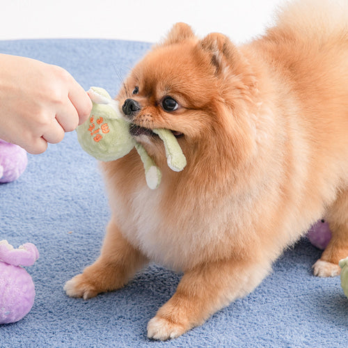 BITE ME Long Hands Ball Toy (2 types)长胳膊玩具
