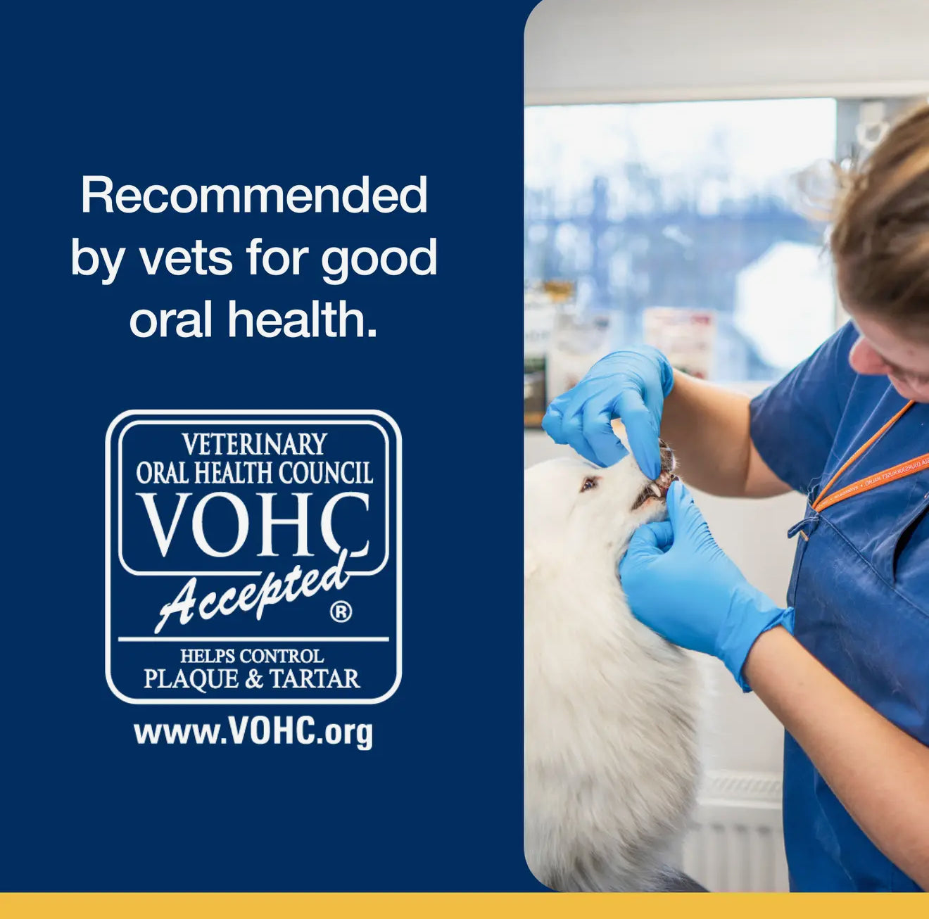 ProDen PlaqueOff Dental Powder fo Cat and Dog 牙结石清洁粉 60g