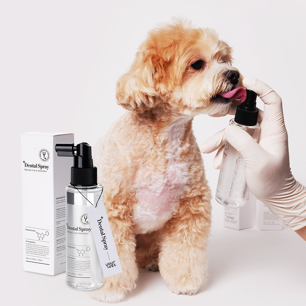 Your Vet Dental Spary 100ml 蜂胶口腔喷雾 除口气牙结石
