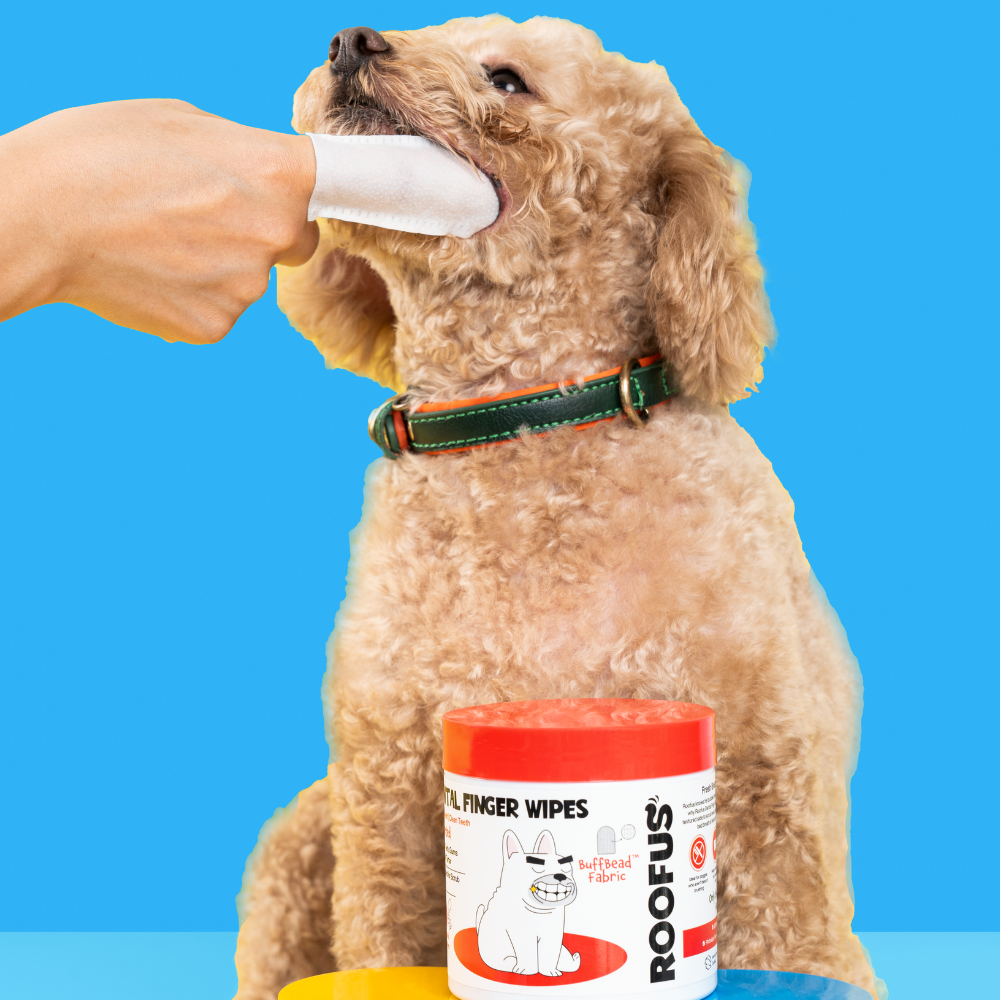 Roofus DENTAL FINGER WIPES - MINTY FRESH - 60 DUAL SIDED WIPES 指套牙刷 薄荷味 60片 清新口气