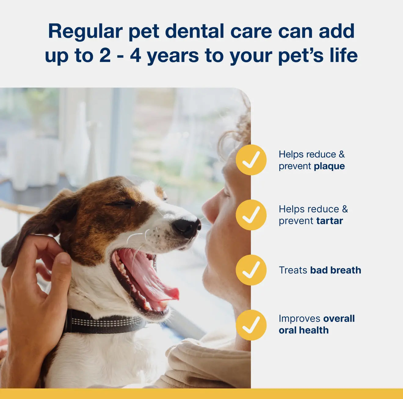 ProDen PlaqueOff Dental Powder fo Cat and Dog 牙结石清洁粉 60g