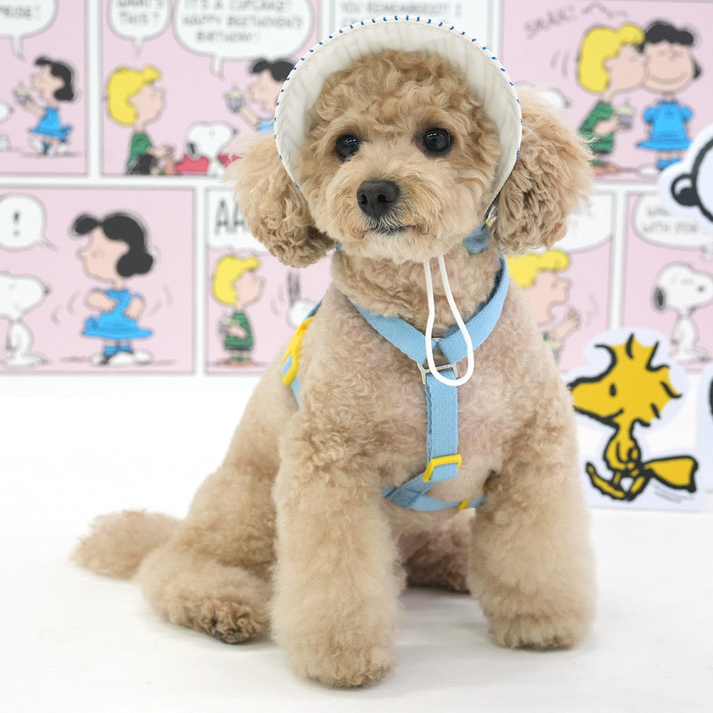 Snoopy Harness with Leash and Hat
