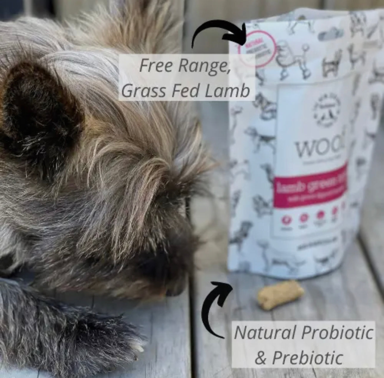 Woof Lipped Green Tripe Freeze-Dried Dog Treats, 1.4 OZ bag