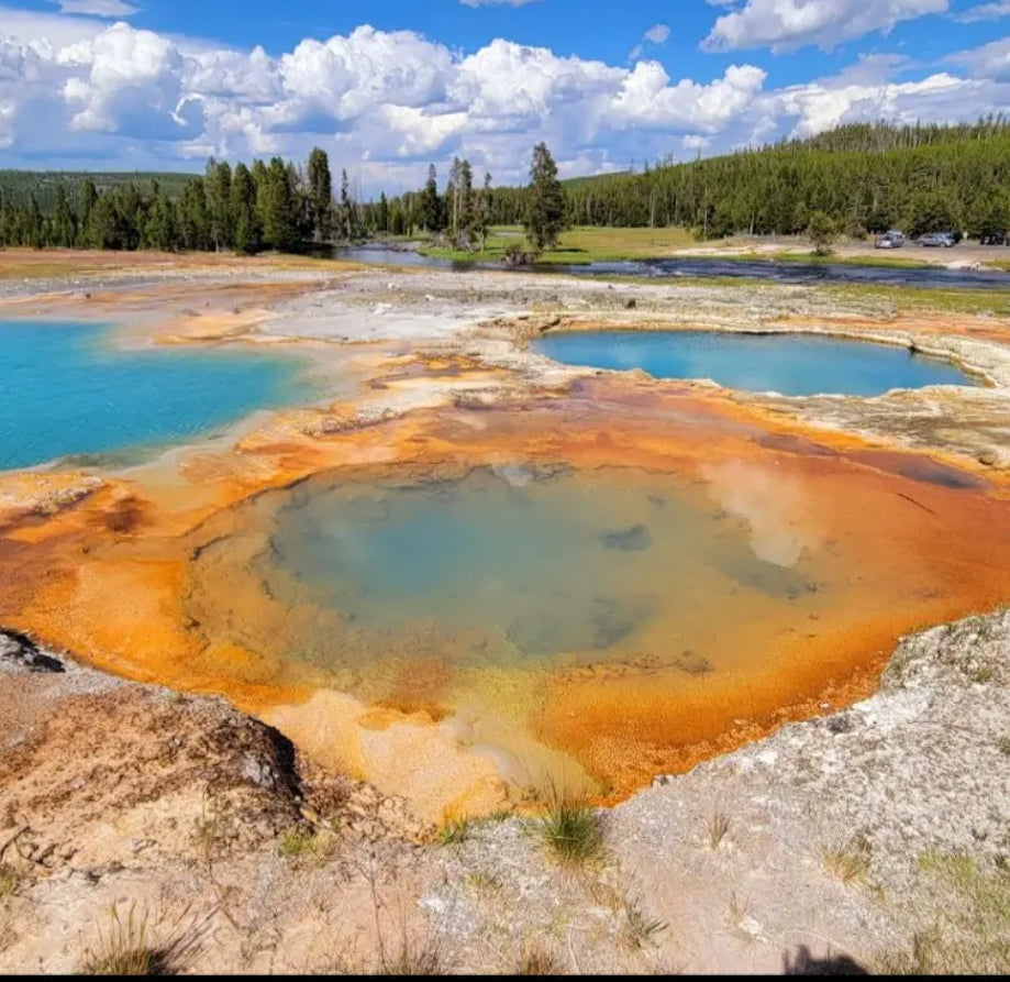 Fox + Hound Spray Cologne - Yellowstone- National Park Series