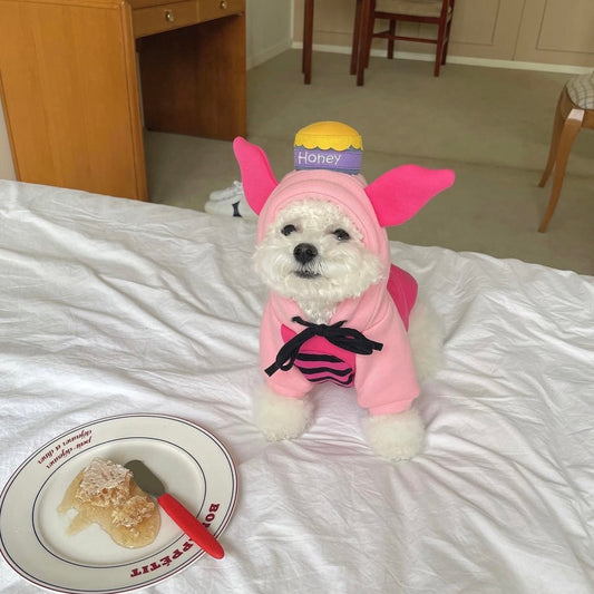 OHHA Honey pig Hoodie