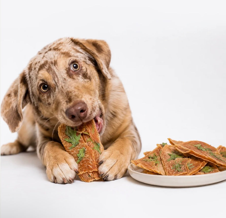 Yumbud Chicken & Arugula Crisps 优质蛋白质 膳食纤维 磨牙零食